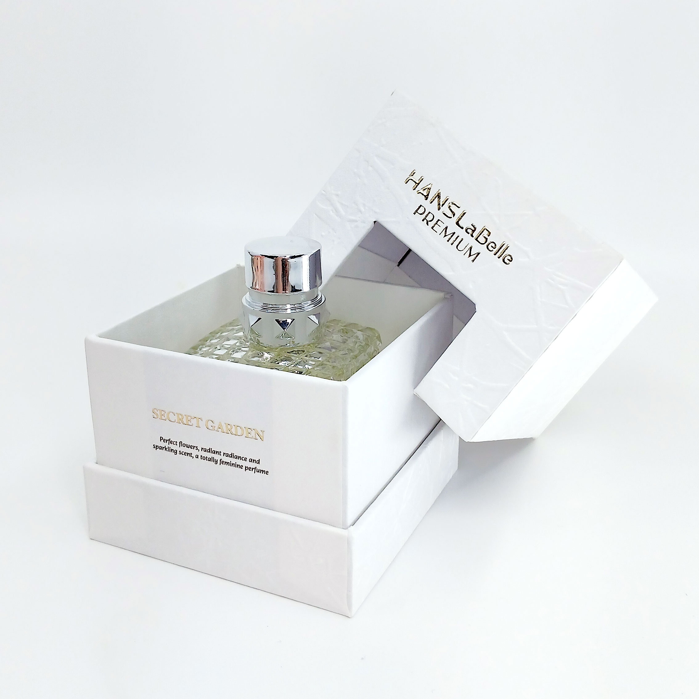 漢斯-拉貝爾系列